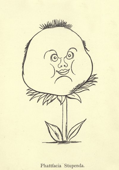 Phattfacia Stupenda door Edward Lear